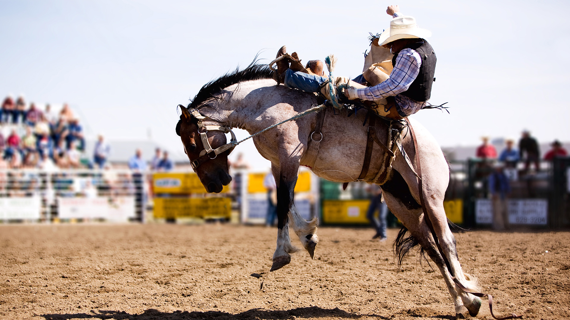 Stirrup Some Fun- The Annual Rodeo Returns