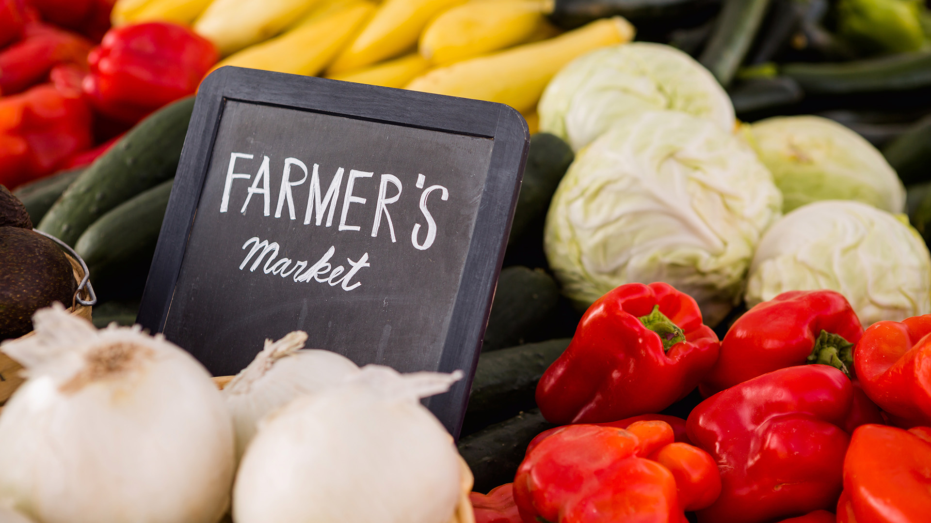 From Field to Fork- The Journey of Our Local Produce