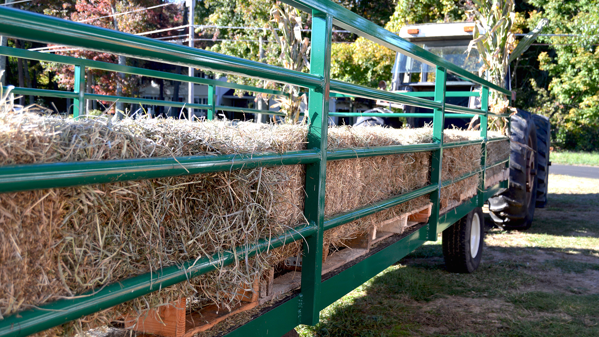 Fall Festivities- Apple Picking, Hayrides And More