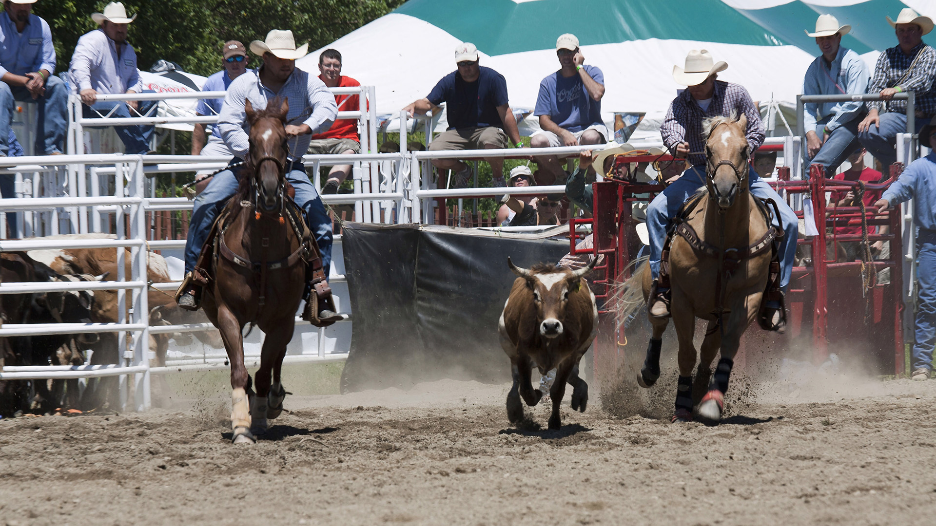 Town Pride- Celebrating Our Unique Traditions